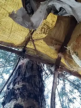 Janvi Jaitly online show from 11-23-25, 01:16