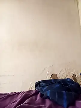 average price online show from 12-03-25, 08:00