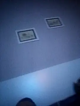 NiceBadgera online show from 09-21-25, 01:18