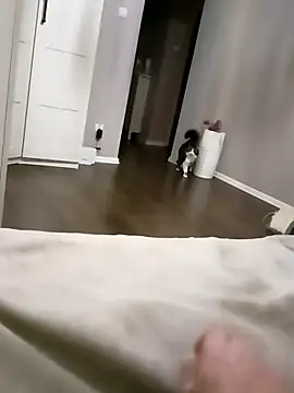 NiceBadgera online show from 10-10-25, 06:40