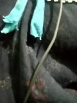 Snapshot of Telugu_hot_cpl chatting on 12-16-25, 05:51 Telugu hot cpl online show from 12-16-25, 05:51