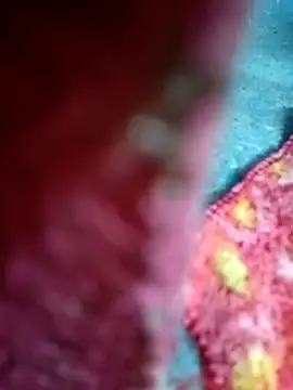 Snapshot of Sharmili_xx chatting on 09-25-25, 08:23 Sharmili xx online show from 09-25-25, 08:23