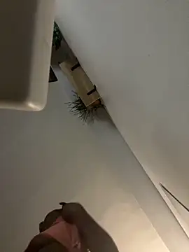 littyleesh1 online show from 04-14-26, 04:29