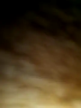 WolfMenSL online show from 10-08-25, 03:37