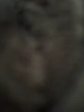 Immerhartundgeil online show from 05-09-26, 06:18