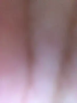 luzmelzinha online show from 04-11-26, 11:42