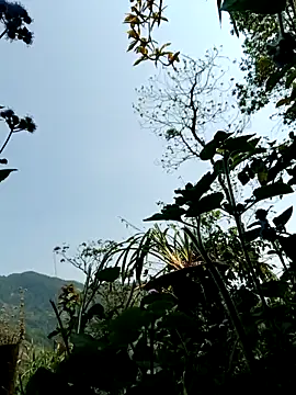 kemtuoi-sex online show from 04-08-26, 03:17