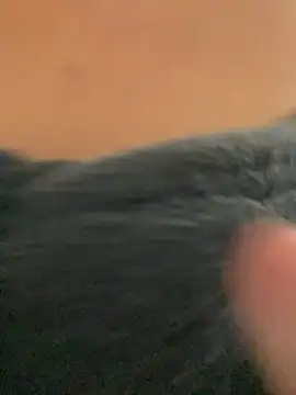 Snapshot of ___seusegredo chatting on 02-04-26, 06:03 seusegredo online show from 02-04-26, 06:03