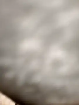 Chanderi19 online show from 11-24-25, 03:17