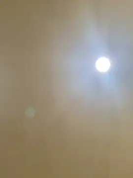 aalvaro98 online show from 02-04-26, 05:24