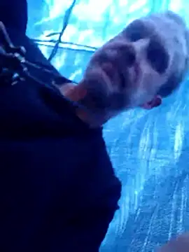 Snapshot of Mrdano0000 chatting on 03-27-26, 05:34 Mrdano0000 online show from 03-27-26, 05:34