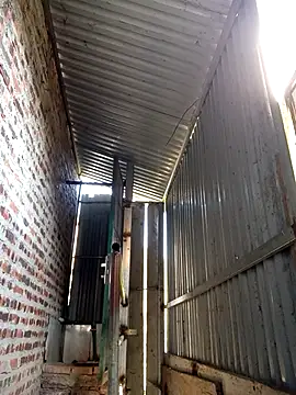 SSexykute3456 online show from 11-27-25, 06:59