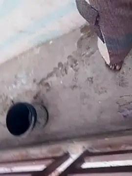 haryanaboypanipat12 online show from 04-03-26, 12:52