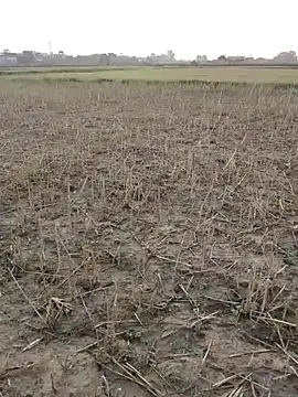 haryanaboypanipat12 online show from 05-14-26, 12:17