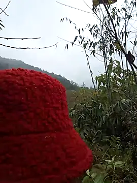 Snapshot of bonnie-00 chatting on 01-07-26, 02:47 bonnie-00 online show from 01-07-26, 02:47