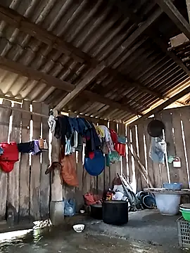 bonnie-00 online show from 02-15-26, 02:19