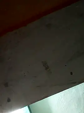 Snapshot of Sort_xr12 chatting on 12-17-25, 02:56 Sort xr12 online show from 12-17-25, 02:56