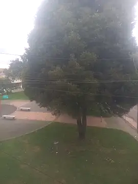 Girl luna  online show from 10-03-25, 05:43