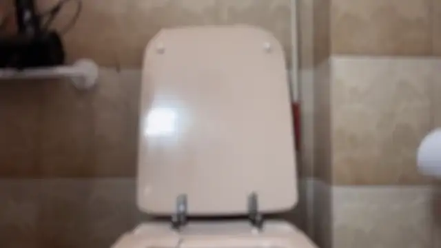 Chaserlovebear online show from 11-01-25, 01:51