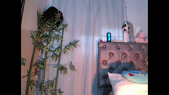 Jamadoll66 online show from 03-24-26, 05:07