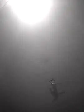 Snapshot of Hott_cutgirl chatting on 10-16-25, 12:33 Hott cutgirl online show from 10-16-25, 12:33