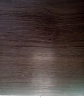 ValeriaLove43211 online show from 03-03-26, 01:06