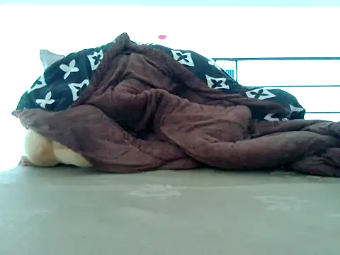 loveninja online show from 11-08-25, 06:13