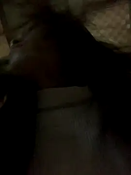 Snapshot of Halyy_xx chatting on 11-08-25, 11:36 Halyy xx online show from 11-08-25, 11:36