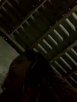 Snapshot of Halyy_xx chatting on 01-12-26, 11:54 Halyy xx online show from 01-12-26, 11:54