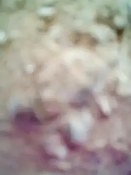 M-Kajal456 online show from 11-04-25, 03:49