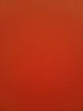 Veronica13 online show from 01-05-26, 07:06