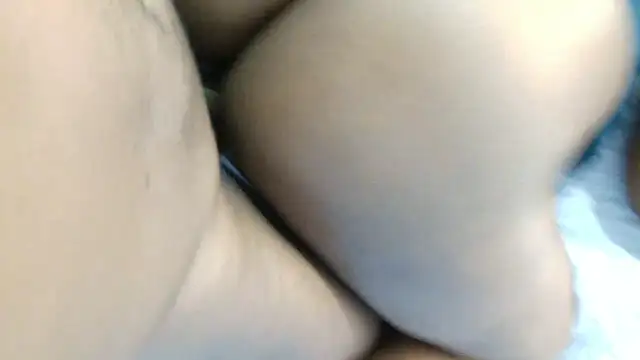 Dandelion enigman online show from 01-11-26, 09:25