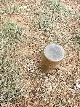 Snapshot of telugumodda4396 chatting on 10-06-25, 02:31 telugumodda4396 online show from 10-06-25, 02:31