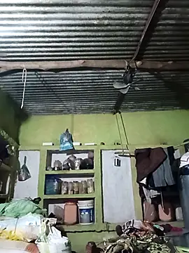 Haliya88 online show from 10-06-25, 06:49