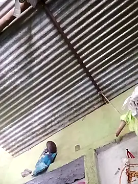 Haliya88 online show from 03-24-26, 06:51