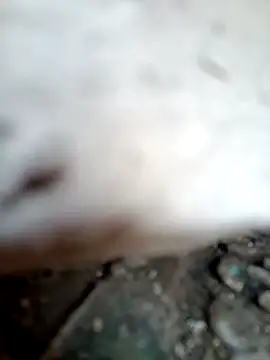 miss riya kol online show from 10-09-25, 06:44