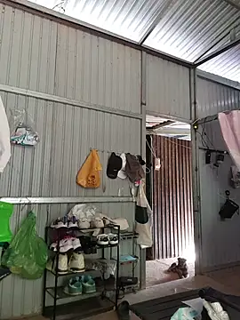 Helen-Tran online show from 12-17-25, 01:44