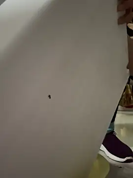 aoyo66 online show from 04-03-26, 11:19