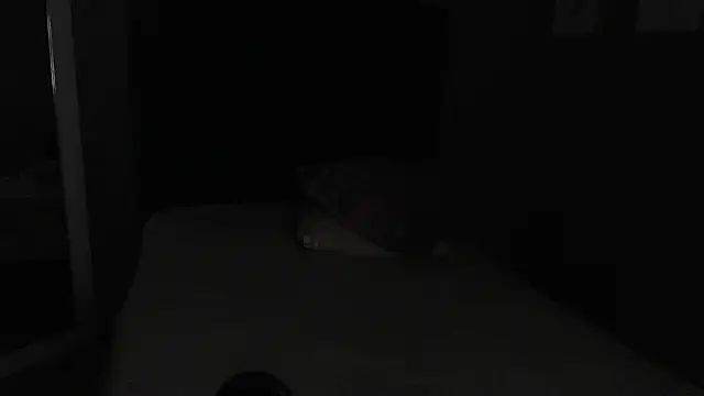 Vic Taylor online show from 11-07-25, 12:43