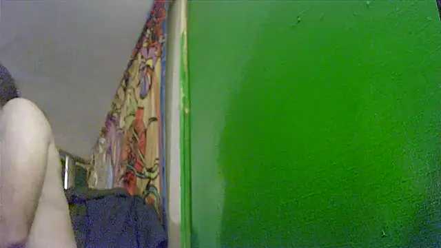 Snapshot of HippieDad333 chatting on 11-25-25, 08:36 HippieDad333 online show from 11-25-25, 08:36