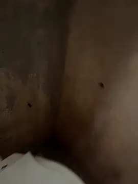 favelado33 online show from 09-26-25, 04:22