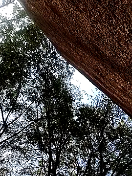 Rs sonam online show from 12-15-25, 09:57