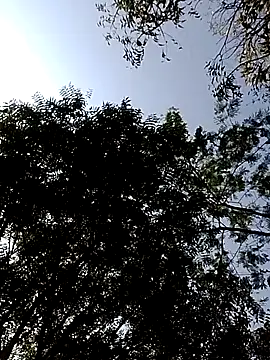 Rs sonam online show from 02-14-26, 03:47