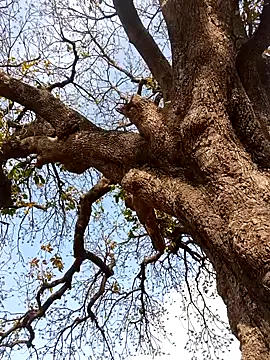 Rs sonam online show from 04-04-26, 10:57