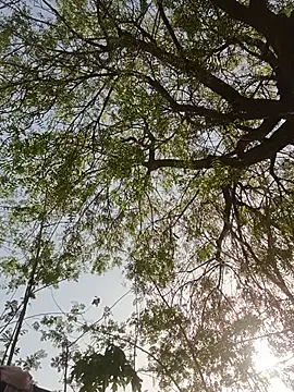 Snapshot of Rs_sonam chatting on 05-27-26, 01:57 Rs sonam online show from 05-27-26, 01:57
