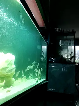 Snapshot of kata_77 chatting on 10-04-25, 03:48 kata 77 online show from 10-04-25, 03:48