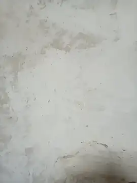 LOVE-VIKA online show from 02-20-26, 02:52