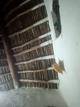 LOVE-VIKA online show from 02-23-26, 01:19