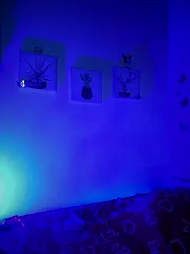 Snapshot of Solaangel_ chatting on 12-17-25, 11:44 Solaangel online show from 12-17-25, 11:44