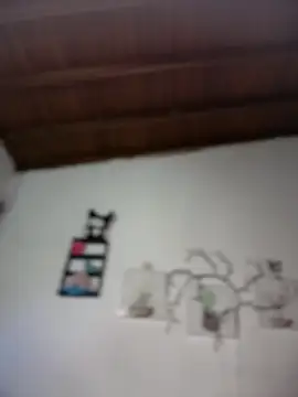 Snapshot of Solaangel_ chatting on 02-10-26, 12:04 Solaangel online show from 02-10-26, 12:04